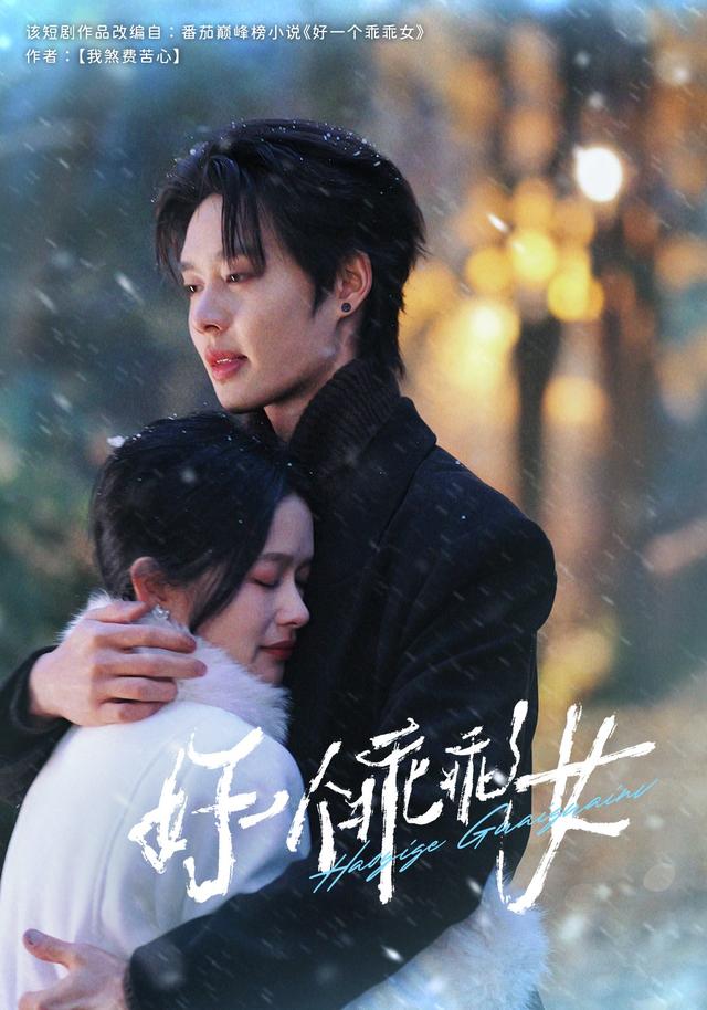 好一个乖乖女海报